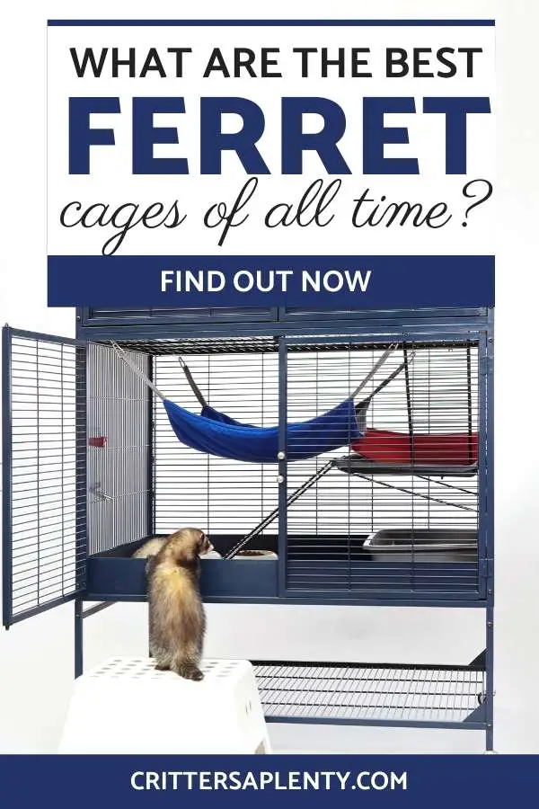 The biggest purchase for a new ferret owner is the cage. Your ferret will spend a great deal of time in their cage, so you want to get the best. The wrong cage could make caring for your ferret difficult. Some cages aren't adequately built and will make your ferret unhappy. But, what makes a ferret cage the best? Today we are going to look at all your options and answer any questions that you have about the best ferret cages of 2023 #ferrets #ferretcare #petcare #petsupplies via @crittersaplenty