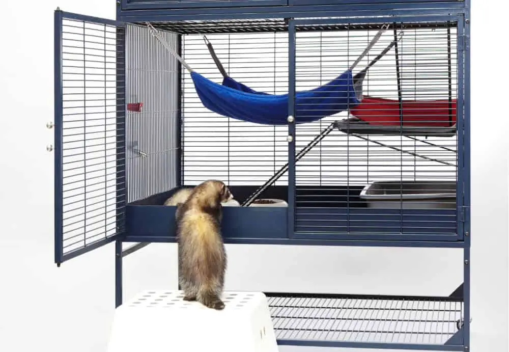 Best Ferret Cages 2021