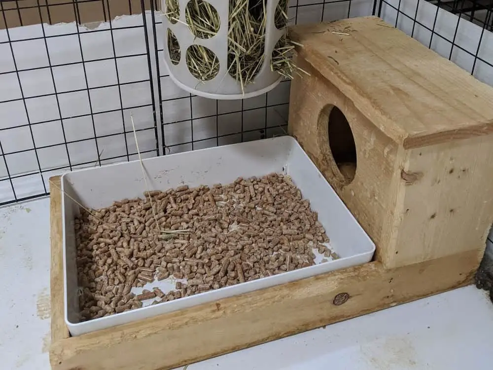 close up of clean litter box and hay for rabbits