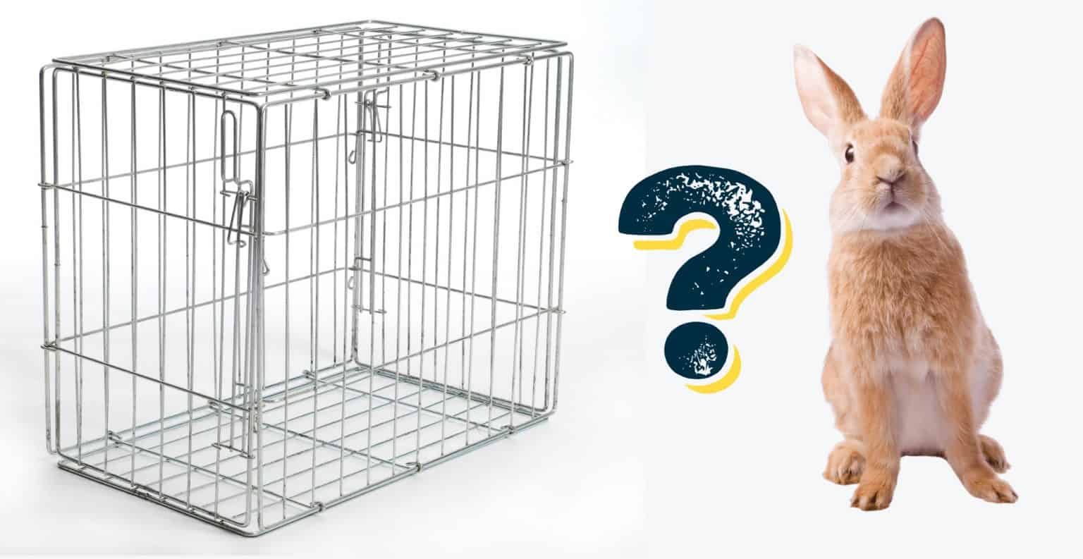 12 Simple Tips to Transform a Dog Crate into a Fantastic House for your